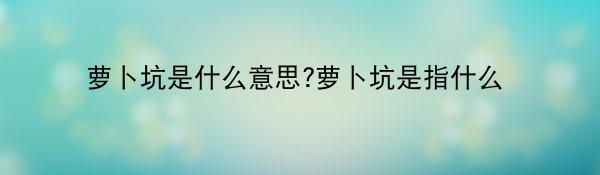 萝卜坑是什么意思?萝卜坑是指什么