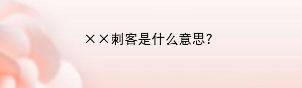 ××刺客是什么意思?