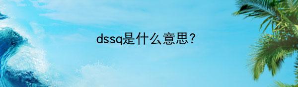 dssq是什么意思？