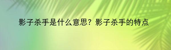 影子杀手是什么意思? 影子杀手的特点