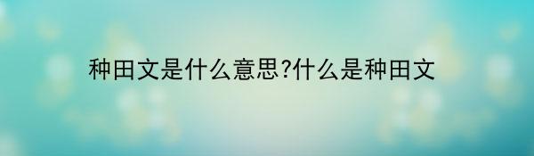 种田文是什么意思?什么是种田文