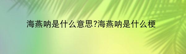 海燕呐是什么意思?海燕呐是什么梗