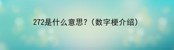 272是什么意思?（数字梗介绍）