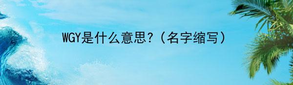 WGY是什么意思?（名字缩写）