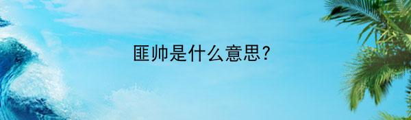 匪帅是什么意思?