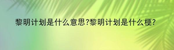 黎明计划是什么意思?黎明计划是什么梗？