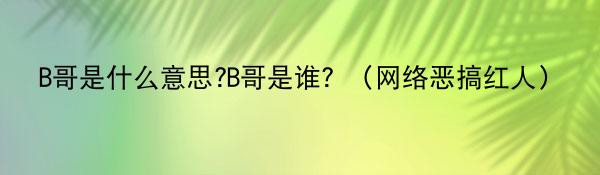 B哥是什么意思?B哥是谁？（网络恶搞红人）