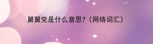 舅舅党是什么意思?（网络词汇）