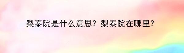 梨泰院是什么意思？梨泰院在哪里？