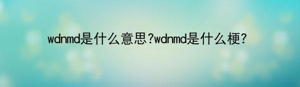 wdnmd是什么意思?wdnmd是什么梗?