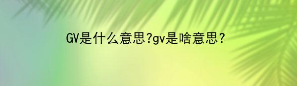 GV是什么意思?gv是啥意思？