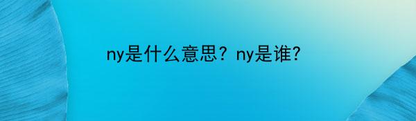 ny是什么意思? ny是谁？