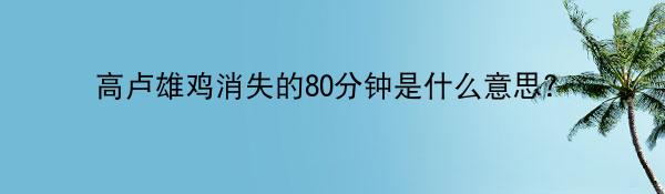 高卢雄鸡消失的80分钟是什么意思？