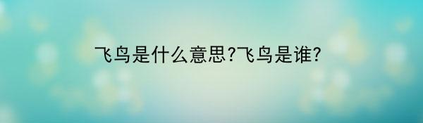 飞鸟是什么意思?飞鸟是谁?