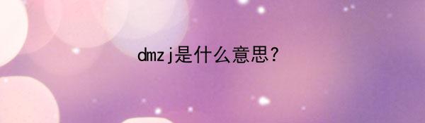 dmzj是什么意思?