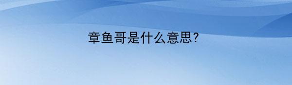 章鱼哥是什么意思?