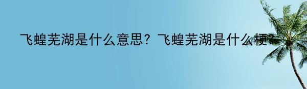 飞蝗芜湖是什么意思? 飞蝗芜湖是什么梗? 