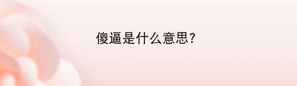 傻逼是什么意思?