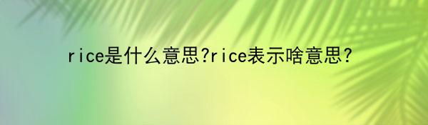 rice是什么意思?rice表示啥意思？
