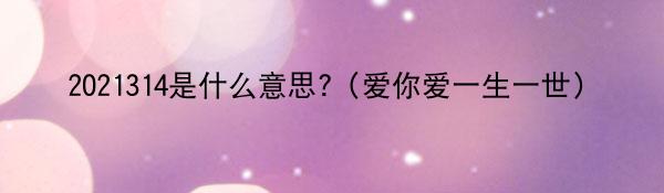 2021314代表什么意思?（爱你爱一生一世）