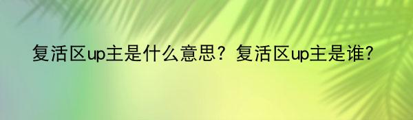 复活区up主是什么意思?复活区up主是谁?