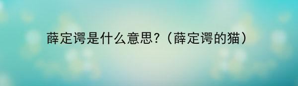 薛定谔是什么意思?(薛定谔的猫)