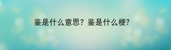 鉴是什么意思? 鉴是什么梗?