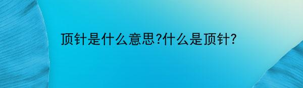 顶针是什么意思?什么是顶针？