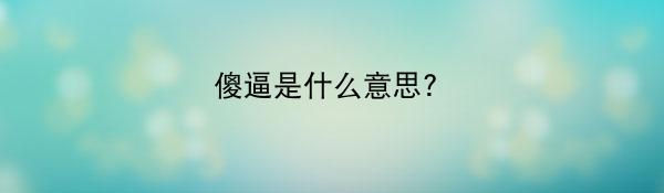 傻逼是什么意思?