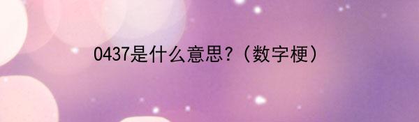 0437是什么意思?（数字梗）
