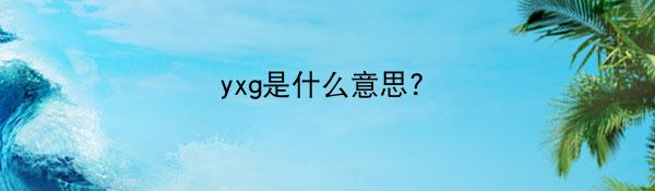 yxg是什么意思?
