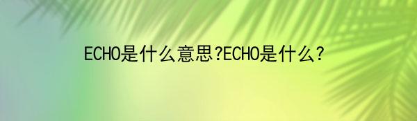 ECHO是什么意思?ECHO是什么?