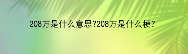 208万是什么意思?208万是什么梗?