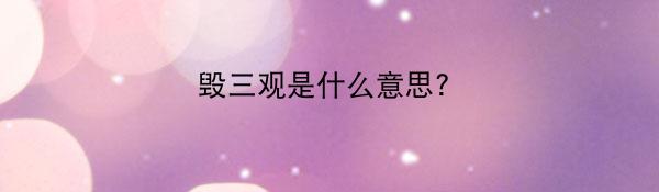 毁三观是什么意思?