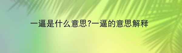 一逼是什么意思?一逼的意思解释