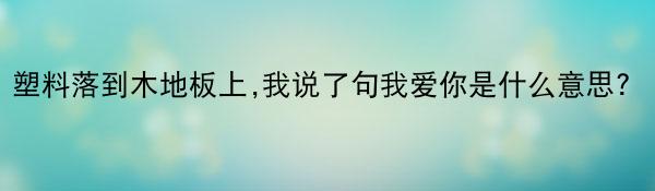 塑料落到木地板上,我说了句我爱你是什么意思?