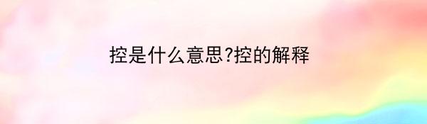 控是什么意思?控的解释