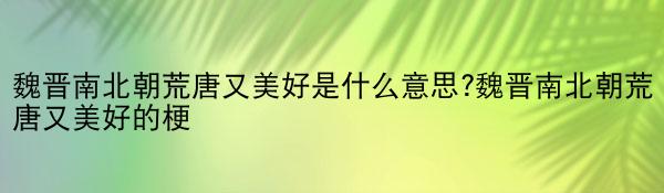 魏晋南北朝荒唐又美好是什么意思?魏晋南北朝荒唐又美好的梗
