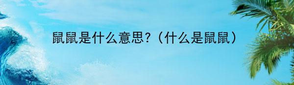 鼠鼠是什么意思?(什么是鼠鼠)