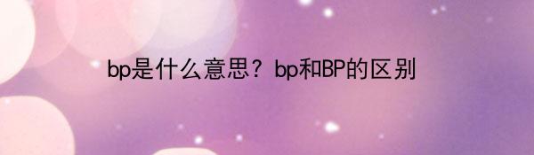 bp是什么意思？bp和BP的区别
