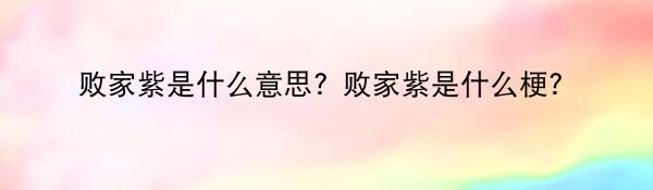 败家紫是什么意思？败家紫是什么梗？