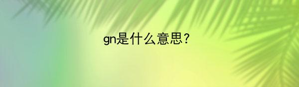 gn是什么意思?