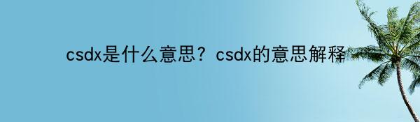 csdx是什么意思？csdx的意思解释