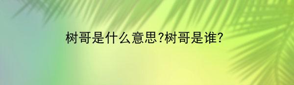 树哥是什么意思?树哥是谁？