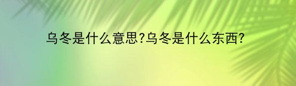 乌冬是什么意思?乌冬是什么东西？