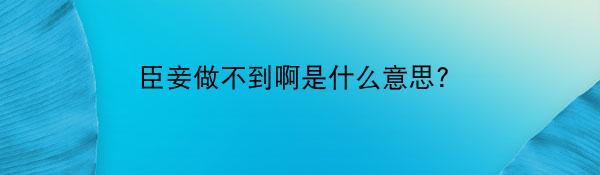 臣妾做不到啊是什么意思?