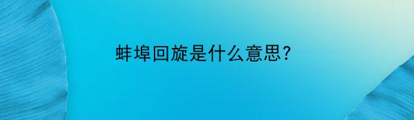 蚌埠回旋是什么意思?