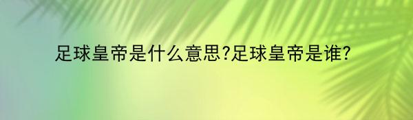 足球皇帝是什么意思?足球皇帝是谁？