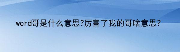 word哥是什么意思?厉害了我的哥啥意思？