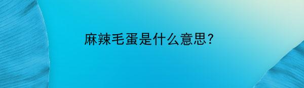 麻辣毛蛋是什么意思?